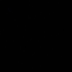 Meet your Posher, Ryu